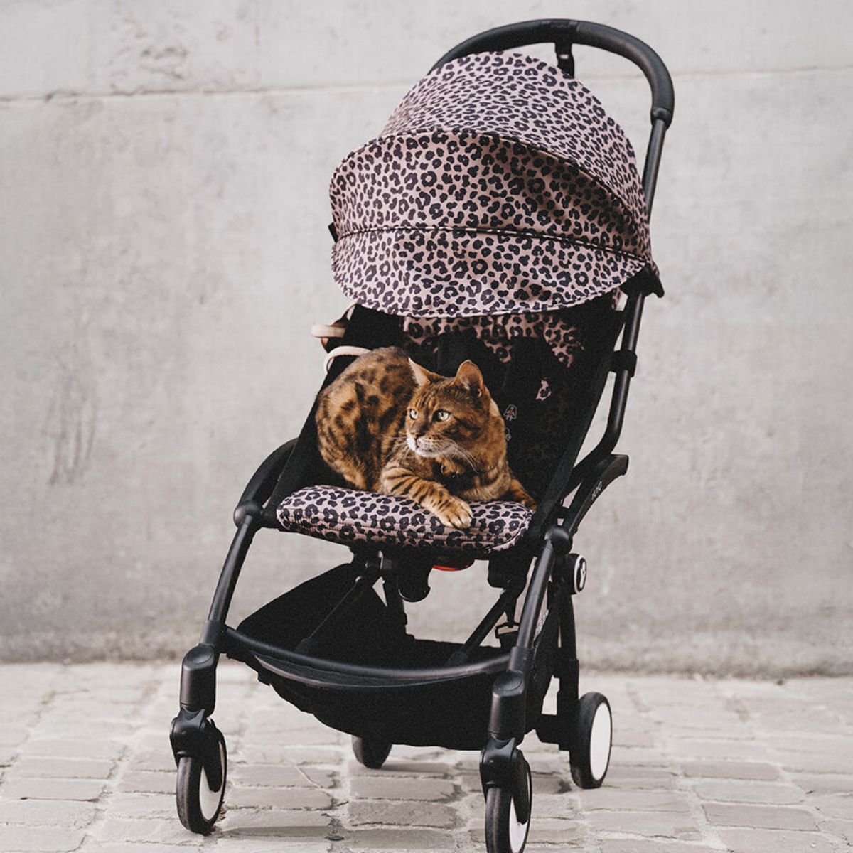 Stokke YOYO³ 6+ Color Pack - Leopard - Improved Comfort for Everyday Rides